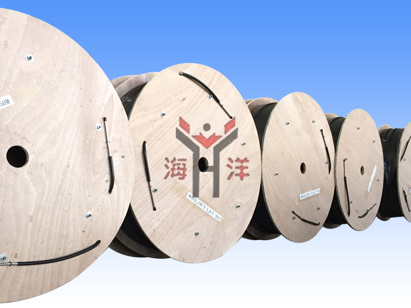 Stainless steel encapsulated tubing Stainless steel encapsulated tubing